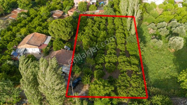 Kuyucak Çobanisa Mahallesinde Satılık Bahçe Evi Ve Portakal Bahçesi