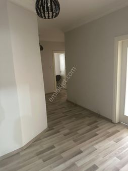 Öz Süt Arkası Geniş Daire