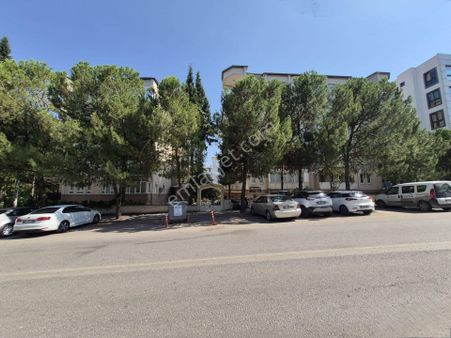 Redstone Myra Dan Kınıklı Mahallesi Nde Kiralık Daire