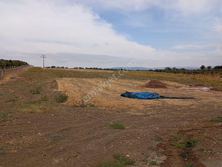 Elit Emlak'tan Bergama Ya 5 Km Tarla