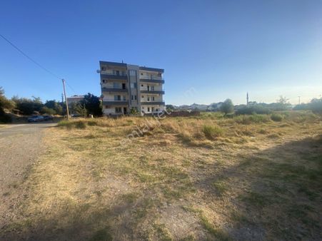 Ayvalık Sarımsaklı Da Satılık 493 Metre Kare Arsa.