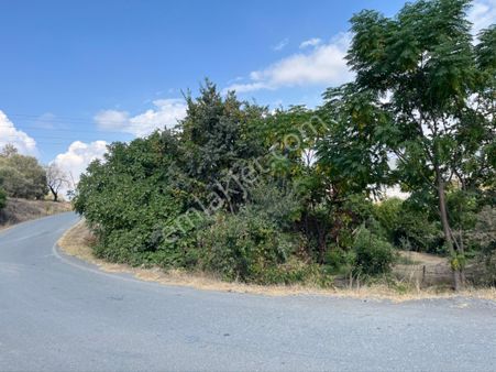 Merkeze Yakın Fırsat Uygun Arsa