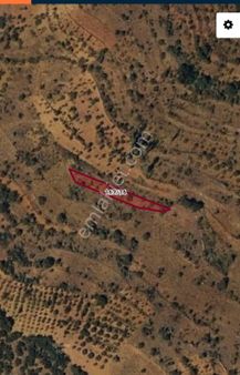 Konya Bozkır Ayvalcada