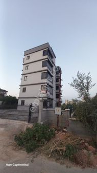 Nam'dan Eski Mezitlide 1+1 Dogal