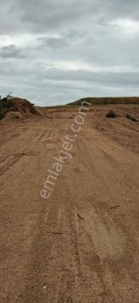 Adana Sarıçamda Satılık Tarla