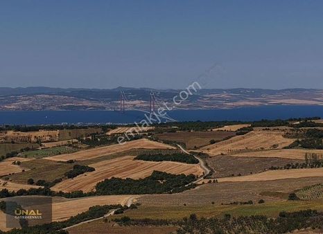 Boğaz Ve Köprü Manzaralı Yatırımlık Fırsat Tarla