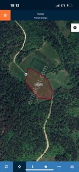 Güney Köyünde Acil Satılık 9350 M2 Tarla