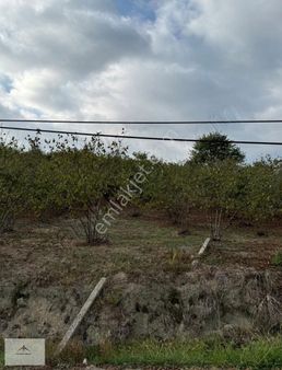 %40 İmarlı Manzaralı Düz Satılık Arsa