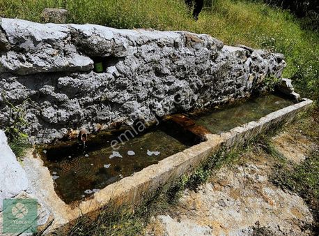Yonca Gyo Karacahisar Mahallesi 3947 M2 Suyu Olan Tarla