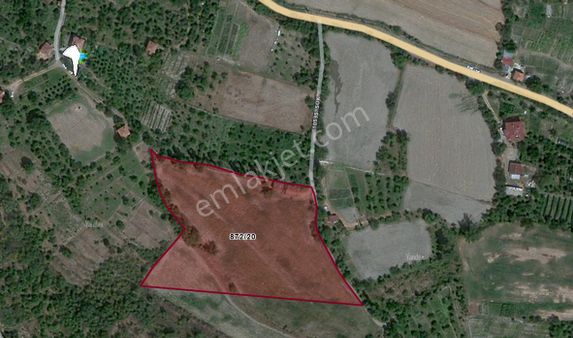 Tosya Emlak - Orta Gökyerde 11 Dönüm Ceviz Bahçesi