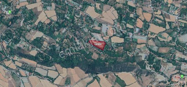 Tosya Emlak - Orta Gökyerde 10 Dönüm Ceviz Bahçesi