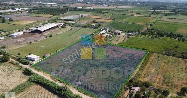 Aydın Sultanhisar Atça Mahallesinde Satılık 12417 M² Tarla