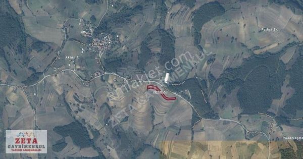 Adapazarı Işıklar'da 5,061 M2 İçinde Serası Olan Hobi Bahçesi