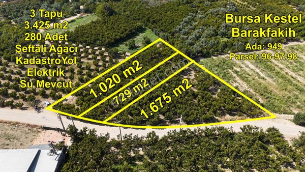 Bursa Kestel Barakfakih Satılık Şeftali Bahçesi Yatırım Fırsatı