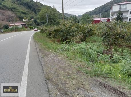 Özgür Emlak'tan Anayola Sıfır Arazi Kaçmaz