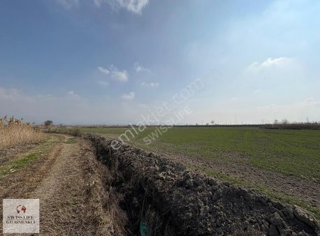 Swıss Lıfe'dan Korucuk'da 24,900 M² Satılık Fırsat Tarla