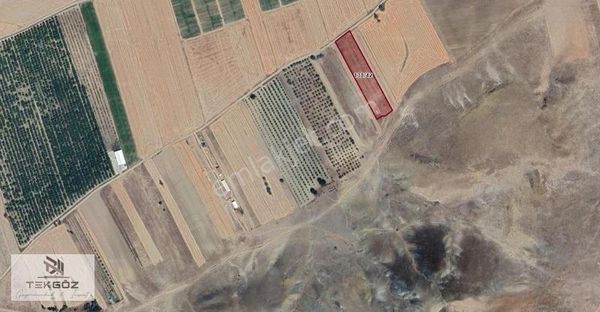 Tekgöz'den Alpu Aktepe'de 40m Yola Cephe 8 Dönüm Satılık Tarla