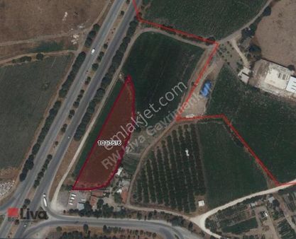 Rw Liva Dan Gümüşçeşme De Satılık Tarla