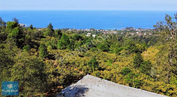 Yason Yarımadasında Satılık 579 M2. Bahçe.