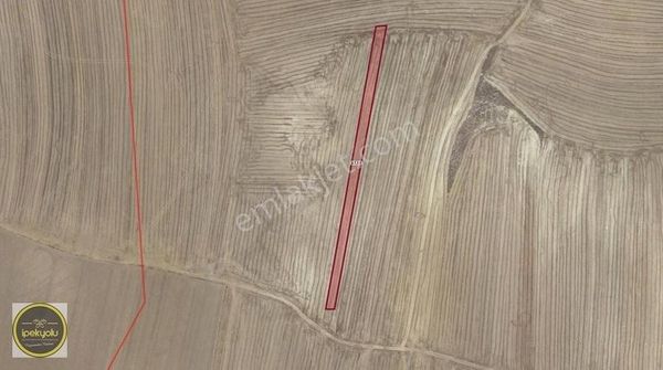 İpekyolundan Kırbaşında 2680 M2 Satılık Tek Tapulu Tarla