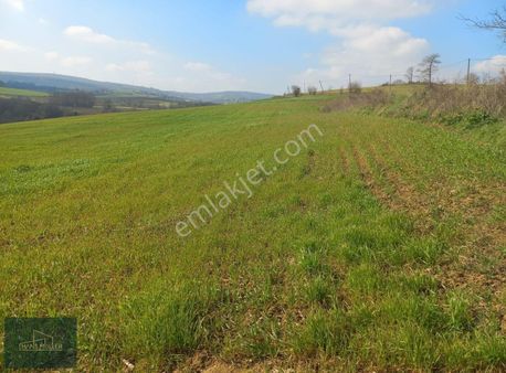 Sakarya, Kaynarca'da Tek.org.san.blg.de Satılık Arsa