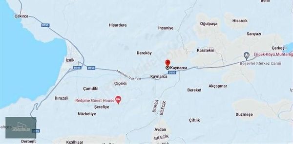 Bursa - İznik 'te Zeytinlik Ve Nektarin Bahçesi