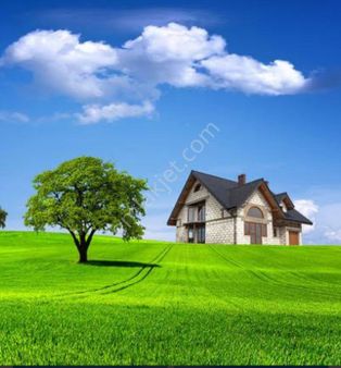 Secret House'dan Deniz Manzaralı 650m2 Zeytinlik