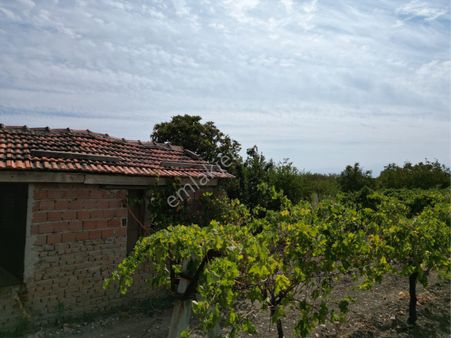 Beyaz Gayrimenkulden Karaoğlanlı Mh 5050 M2 Bag