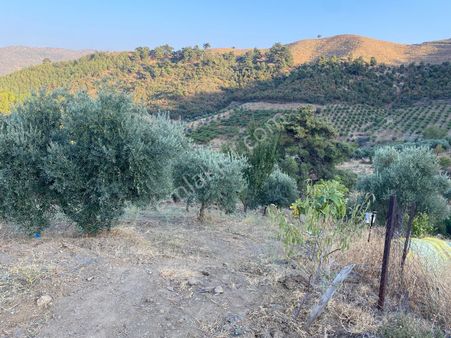 Bayındır Lutuflar Mahallesinde 4051 M²bahçesatılıktır