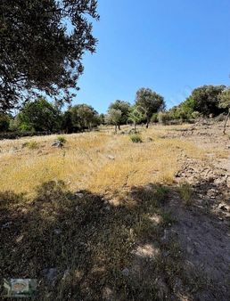 Akman Gayrimenkul'den Karayağcıhacılar'da Satılık 1900m2 Arazi