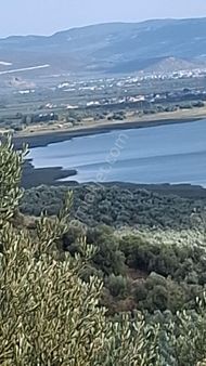 Boyalıcada Tamamı Göl Manzaralı 5720 M2