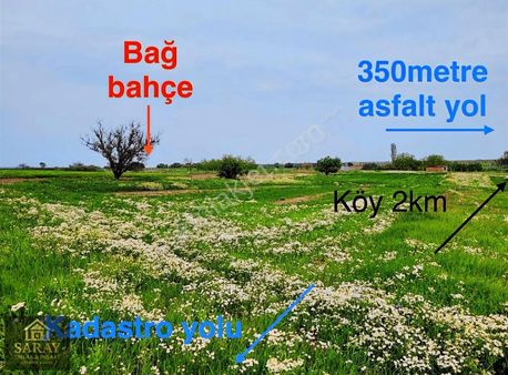 Saray Yuvalı'da Müstakil Kare 1.500m2 Bağ Bahçe - Yola Cephe