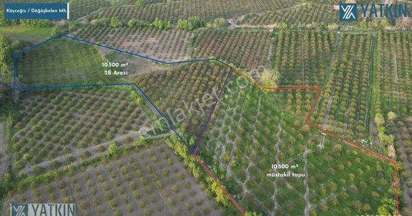 Köyceğiz Döğüşbelende Satılık 21 Dönüm Tarla