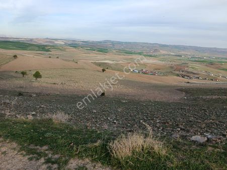 Ayaş Gökler'de 12 Dönüm Hayvancılığa Uygun Tek Tapu Tarla