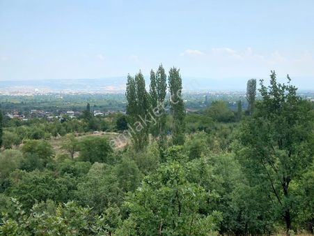 Roma' Dan Edebey' De Satılık Villa Arsası