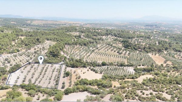 Şehzadeler Kale Mahallesinde Aradığınız Satılık Arazi