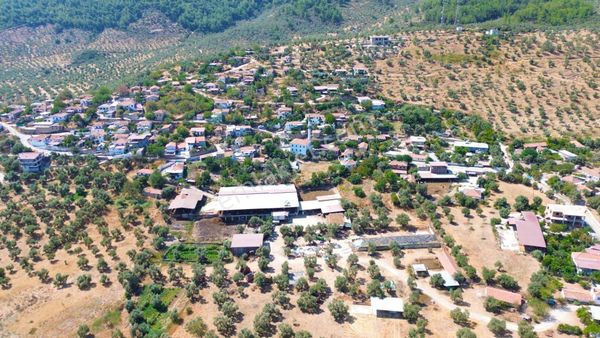 Milas Hisarcık Mahallesinde 4 Villalık Konut İmarlı Arsa