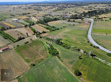 B&u Gayrimenkul'den Soğucak'ta 22 Yıllık Üzüm Bağı