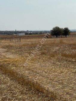 Yanıkağıl’da 1000 M2 Satılık Arazi Hissesi