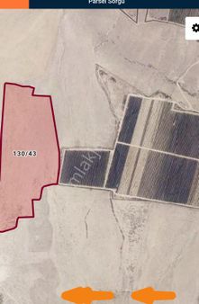 Kutörende Karaman Tepede Satılık 73 Dekar Kıraç Tarla