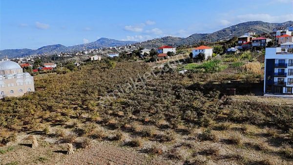 Yıldızlı Merkeze Yakın 347 M2 Deniz Manzaralı Satılık Arsa