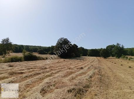 Bilecik Pazaryerinde Fırsat Yatırımlık Satılık Tarla