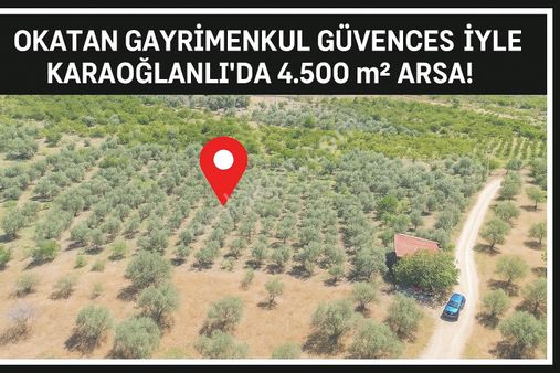 Karaoğlanlı’da 4.500 M²doğa İçinde Konteynırlı Arsa (zeytinlik)