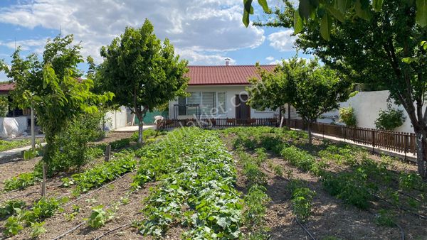 Konut Emlakdan Şehire Çok Yakın Kurulu Düzen Satlık Hobi Bahçesi