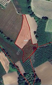 Sakarya Kaynarca Gaziler