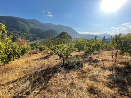 Değirmendere Mahallesi Satılık Arsa
