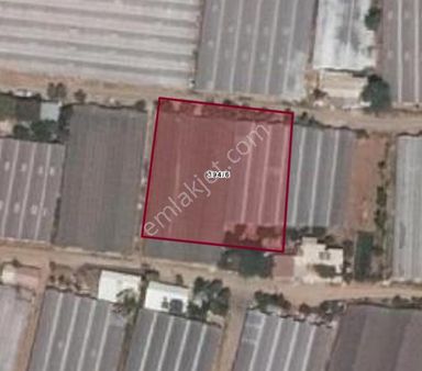 Arf Alanya İnşaat'tan Payallar Sahilde Satılık İmarlı Arsa