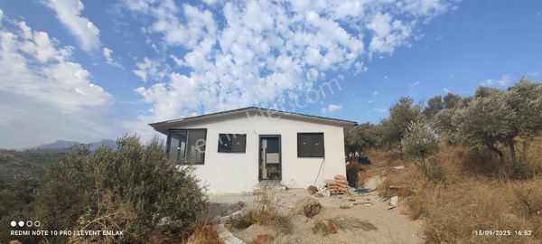 Milas Danişment Köyü'nde Elektrik, Şebeke Suyu