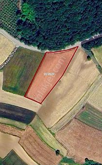 Sakarya Kaynarca Gaziler