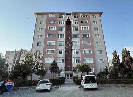 Remax Lavanda'dan Belediye Konutlarında 3+1 Kiralık Daire